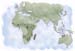 Science et vie baobab
