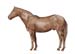 Profil livre veterinaire