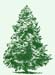 sapin Reserve naturelle RdV