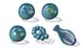 02Science et vie cellules